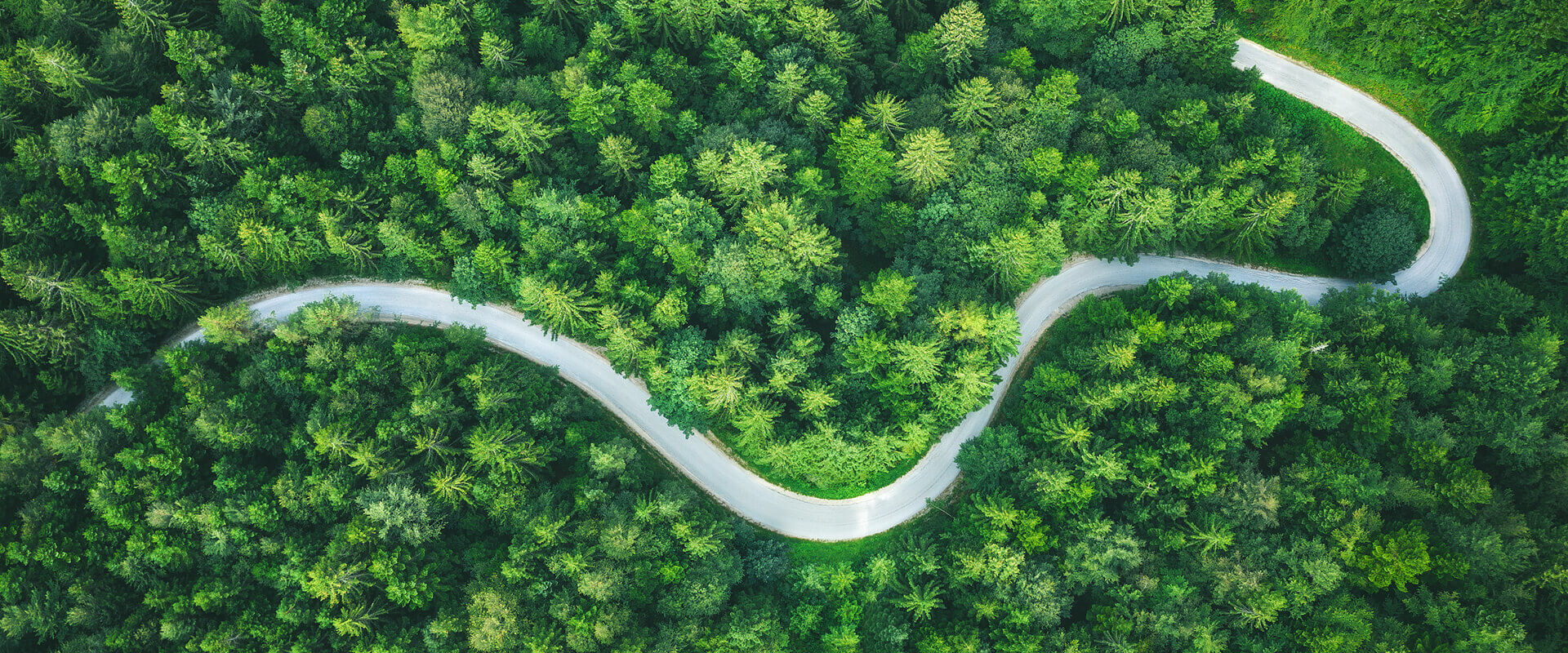 搜狗输入法下载
可持续发展理念.jpg